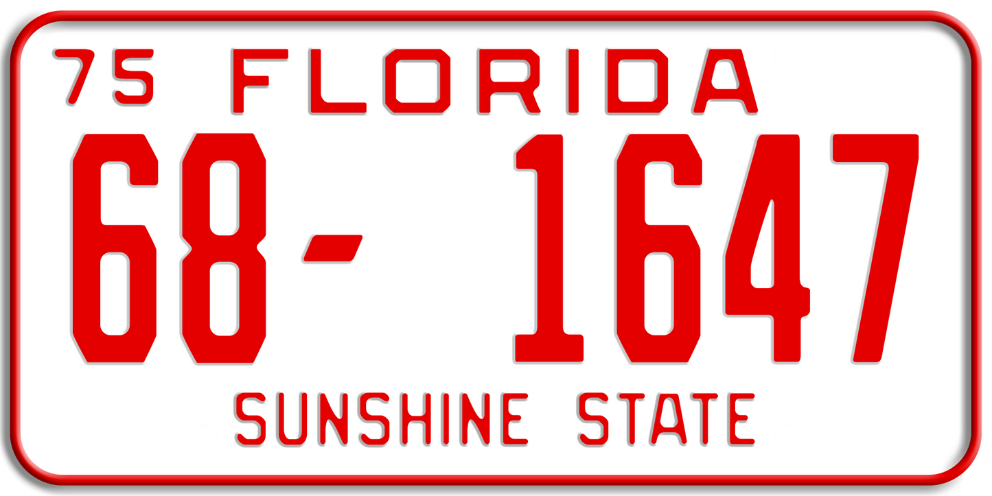 1975-1977 FLORIDA LICENSE PLATE 12x6