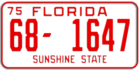 1975-1977 FLORIDA LICENSE PLATE 12x6