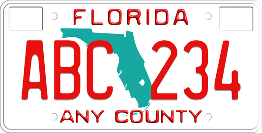 1986-1991 Florida License Plate County