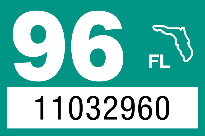 1996 Year Sticker on Florida License Plate