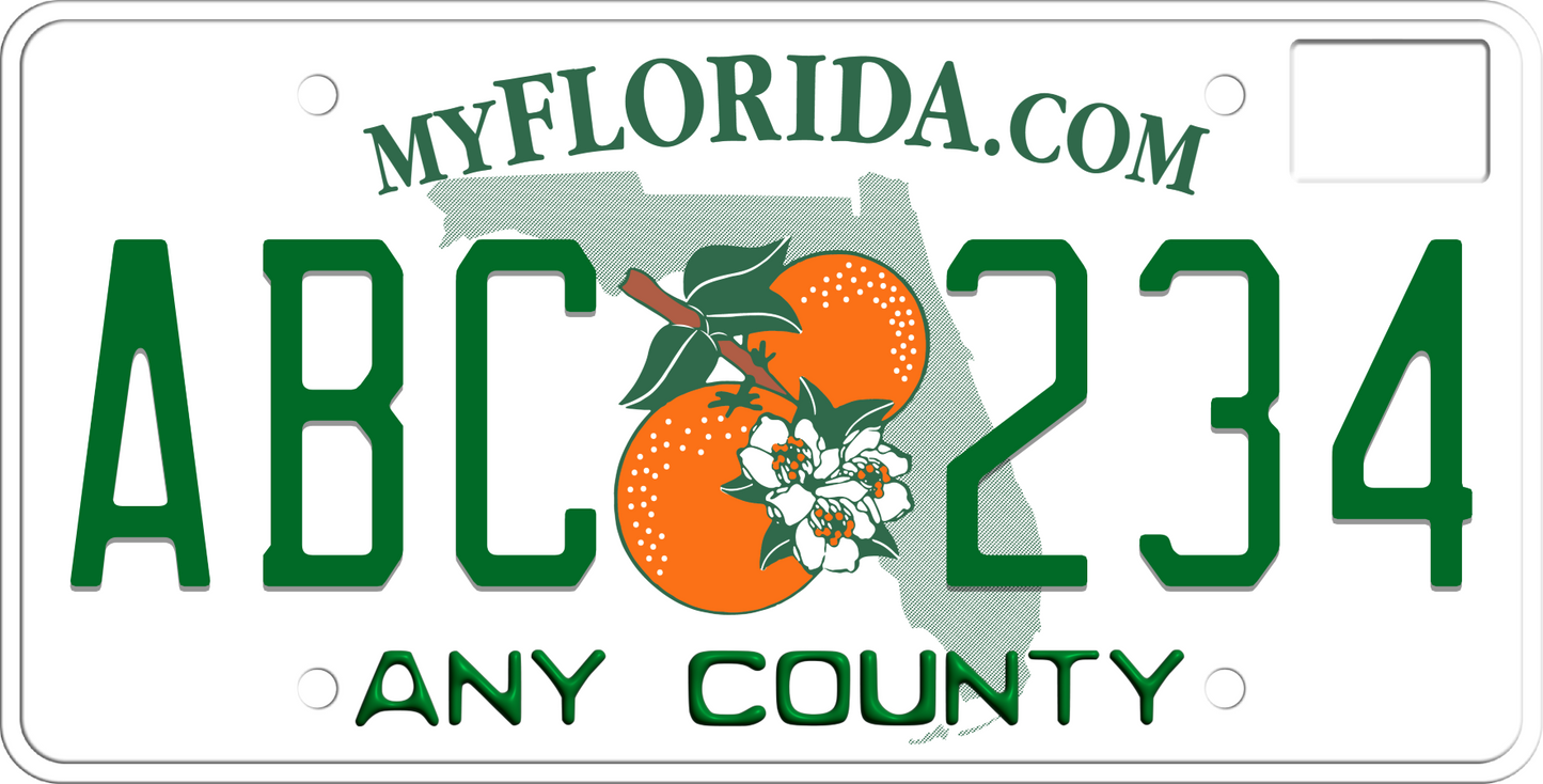 2003-2009 Florida License Plate County