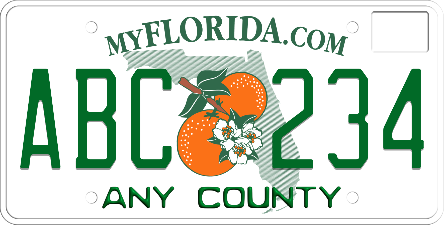 2003-2009 Florida License Plate County