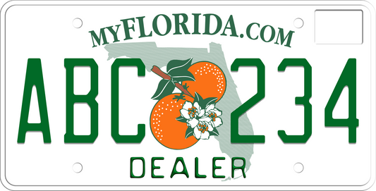 2003-2009 Florida License Plate - Dealer