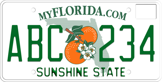 2003-2009 Florida License Plate Sunshine State