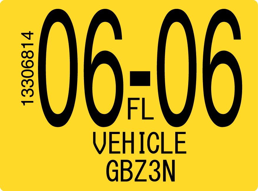 2006 June Sticker on Florida License Plate