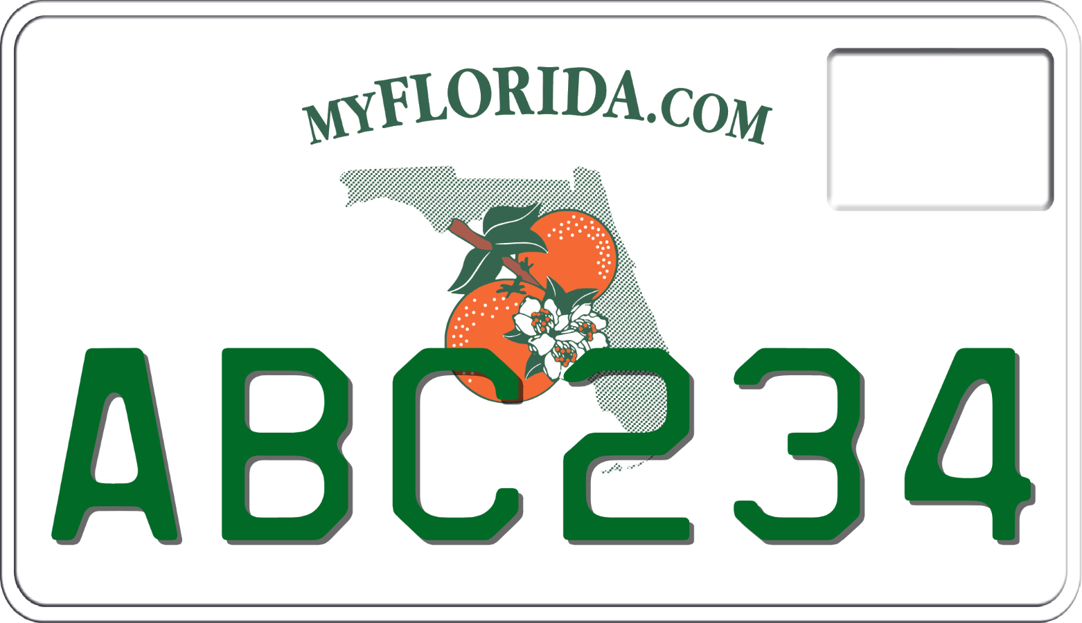 2007-2009 Florida Motorcycle License Plate