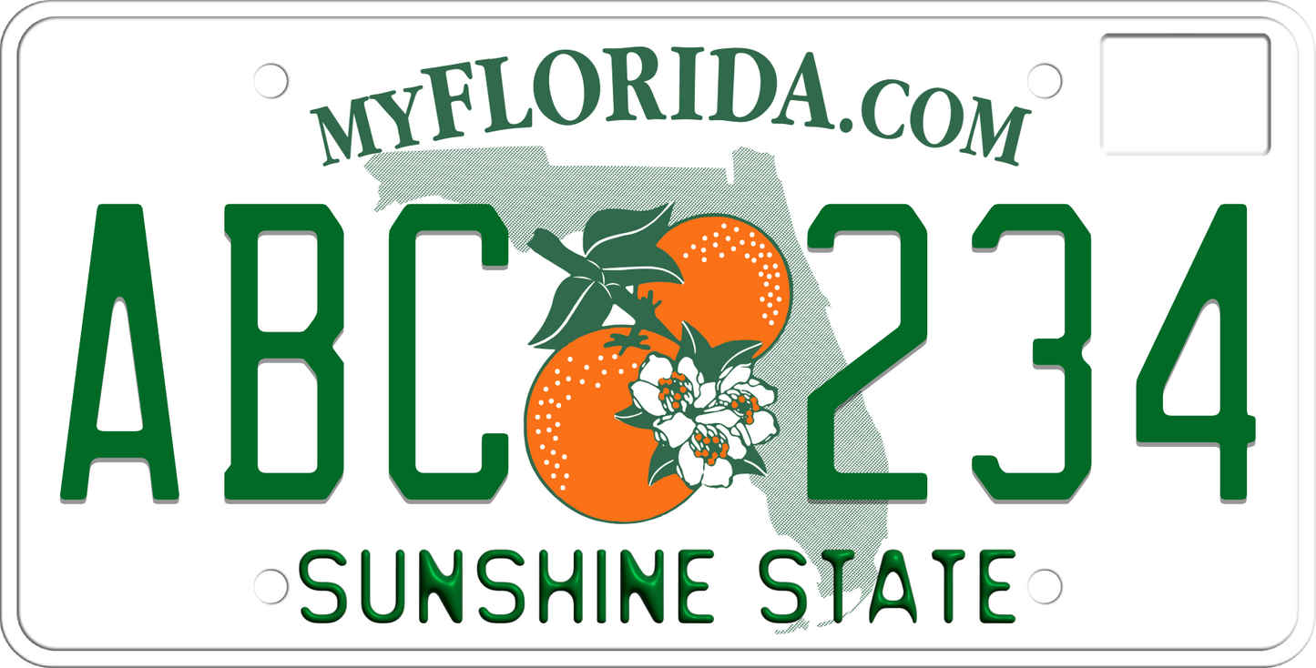 2008-2018 Florida License Plate - Sunshine State