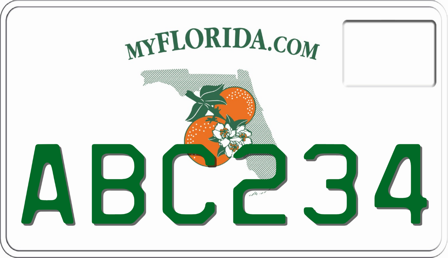 2009-2024 Florida Motorcycle License Plate