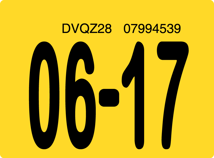 2017 June Sticker on Florida License Plate