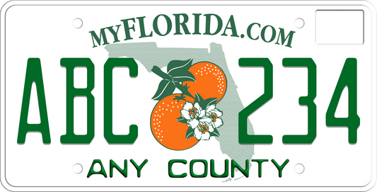 2019-2024 Florida License Plate County