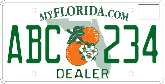 2019-2024 Florida License Plate - Dealer