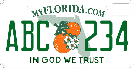 2019-2024 Florida License Plate In God We Trust