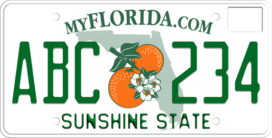 2019-2024 Florida License Plate Sunshine State