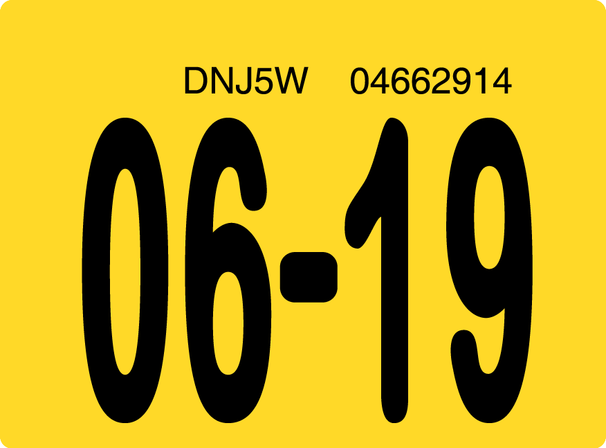 2019 June Sticker on Florida License Plate