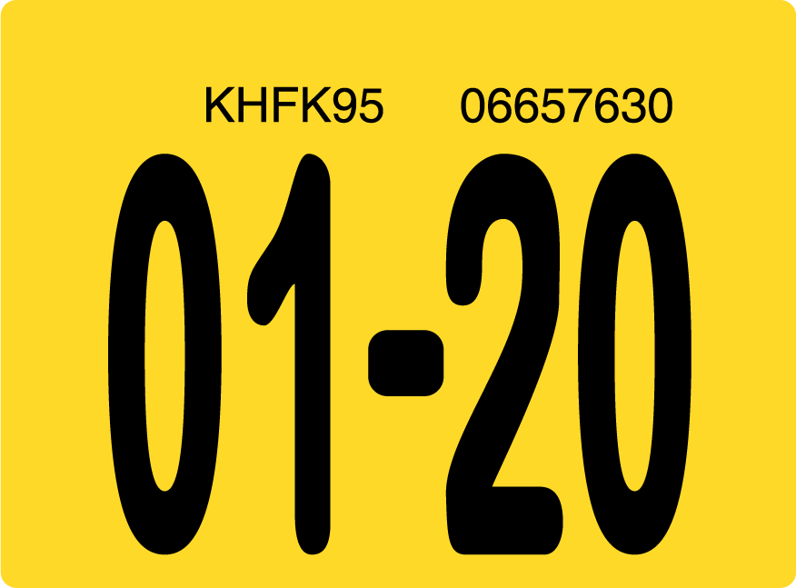 2020 January Sticker on Florida License Plate