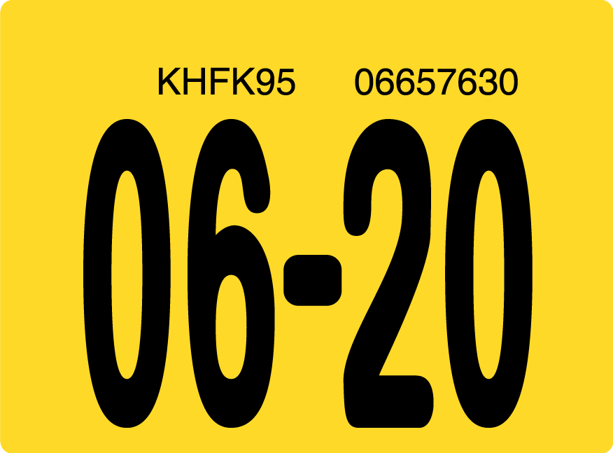 2020 June Sticker on Florida License Plate