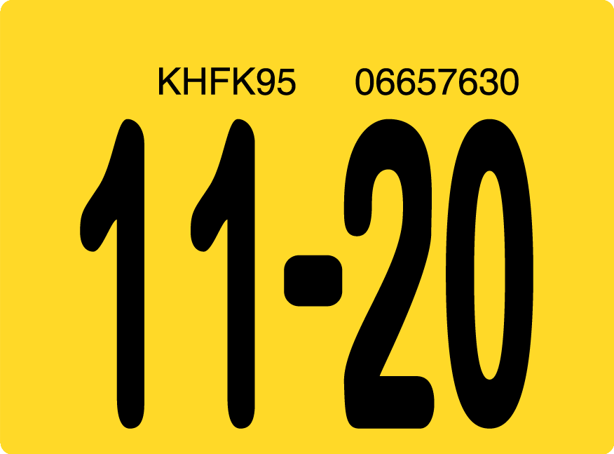 2020 November Sticker on Florida License Plate