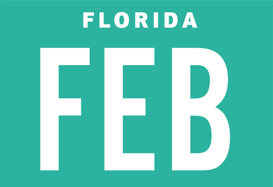 Month February Sticker on Florida License Plate