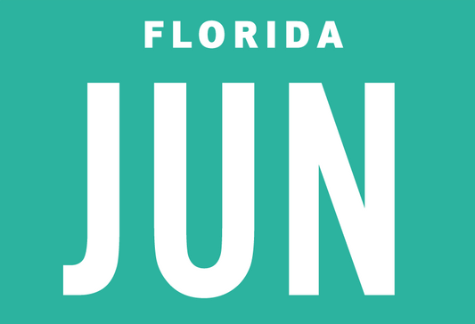 Month June Sticker on Florida License Plate