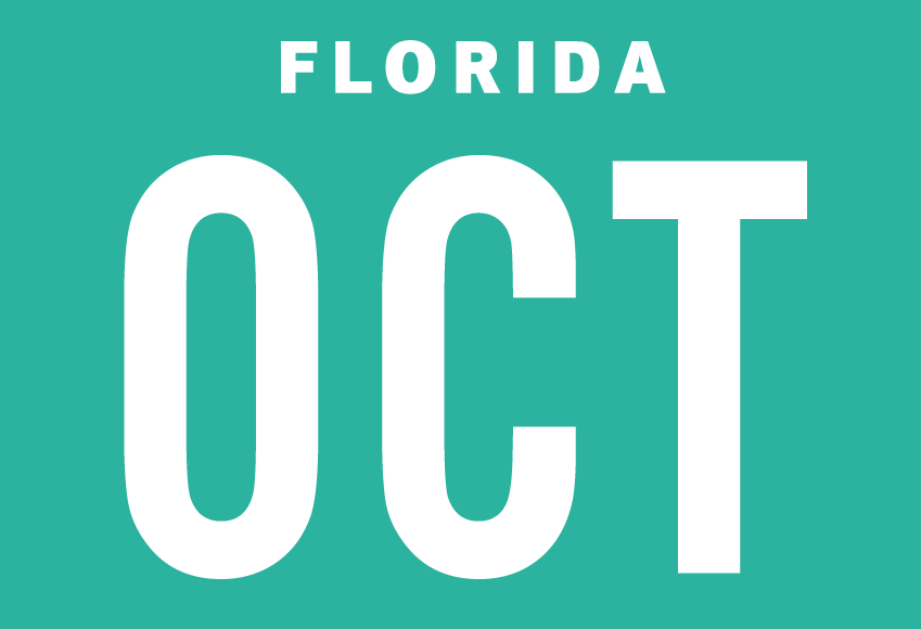 Month October Sticker on Florida License Plate