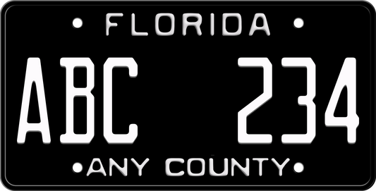 Black Florida License Plate with White Text - County Name
