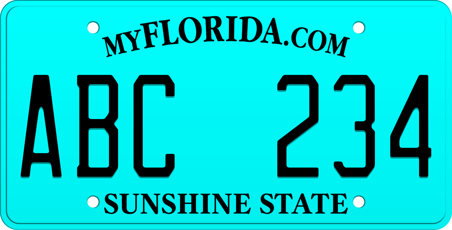 Blue Florida License Plate with black text - Sunshine State