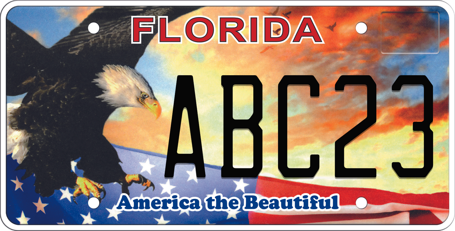 Florida License Plate - America the Beautiful