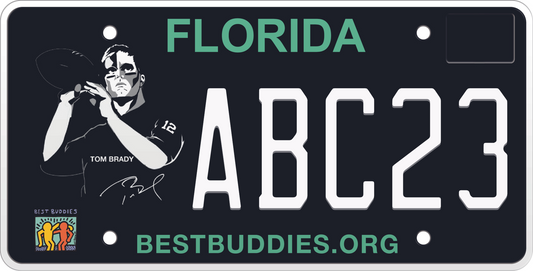 Florida License Plate - Best Buddies