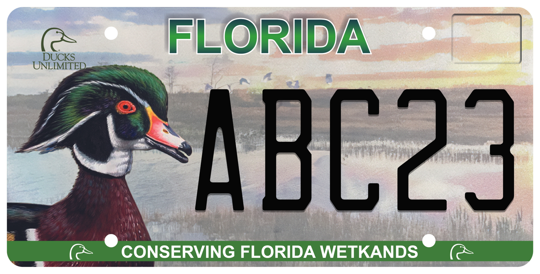 Florida License Plate - Ducks Unlimited