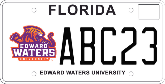 Wincraft NCAA University Of Florida License Plate - Officially Licensed Team Fan Gear