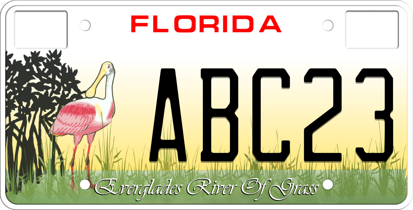 Florida License Plate - Everglades River of Grass