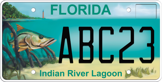 Florida License Plate - Indian River Lagoon