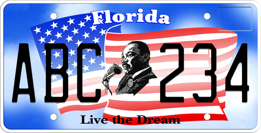 Florida License Plate - Live the Dream