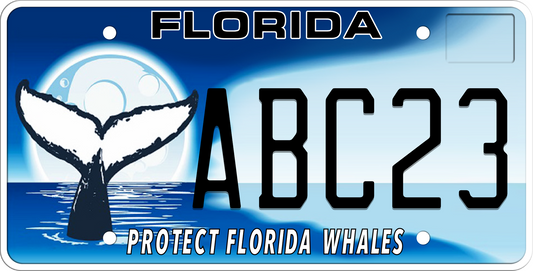 Florida License Plate - Protect Florida Whales