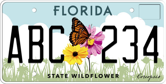 Florida License Plate - State Wildflower