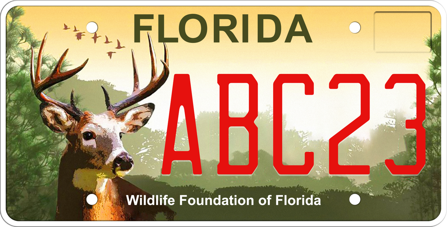 Florida License Plate - Wildlife Foundation of Florida