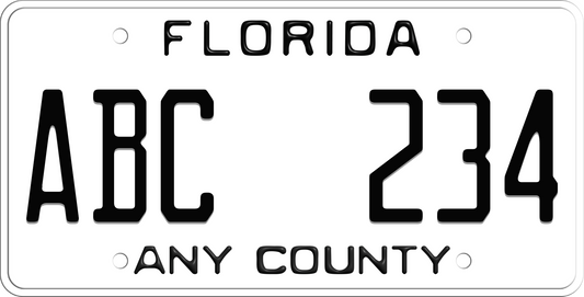 White Florida License Plate with Black Text - County Name